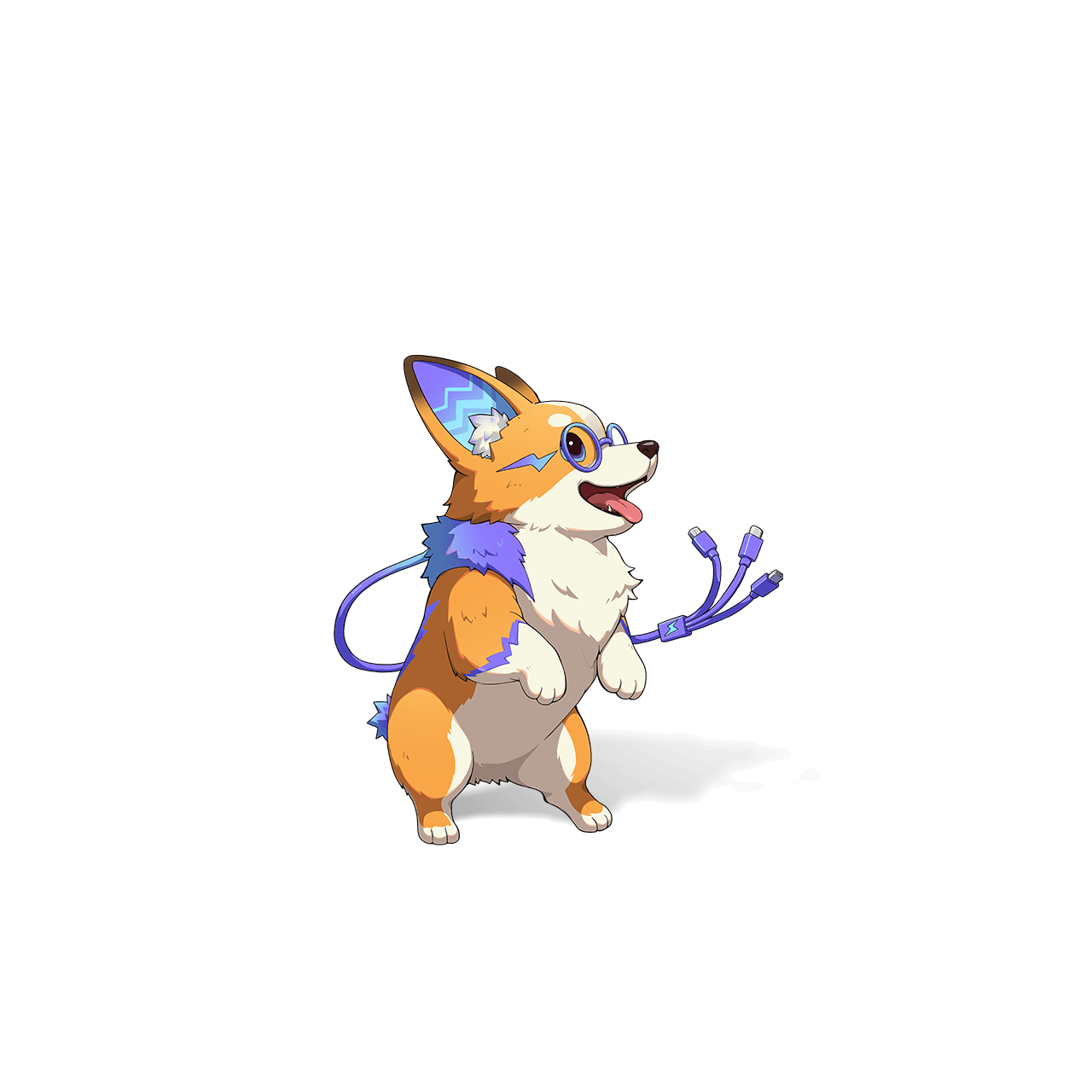 Pili Corgi